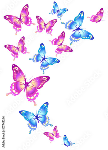 butterflies design