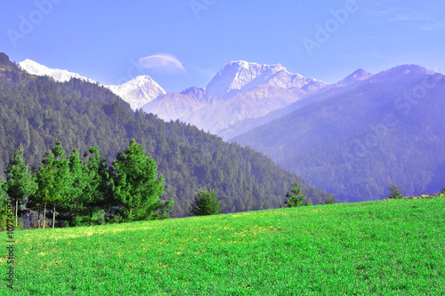 Green field at mountain background