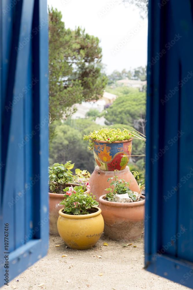 Plantas en un jardín mediterráneo Plantas en un jardín mediterráneo
