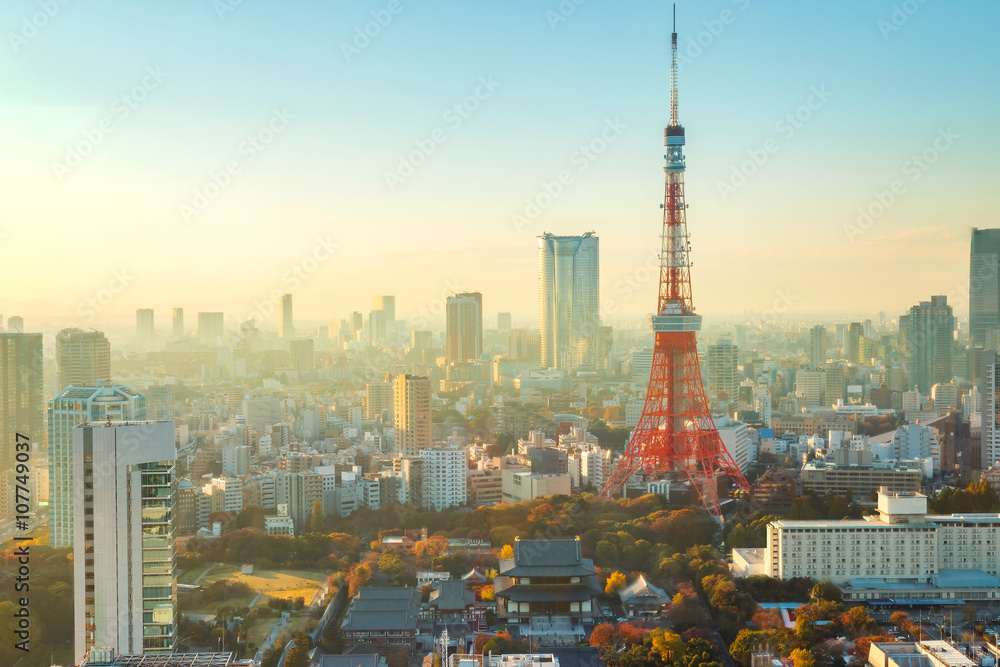 Tokyo Tower  - obrazy, fototapety, plakaty 