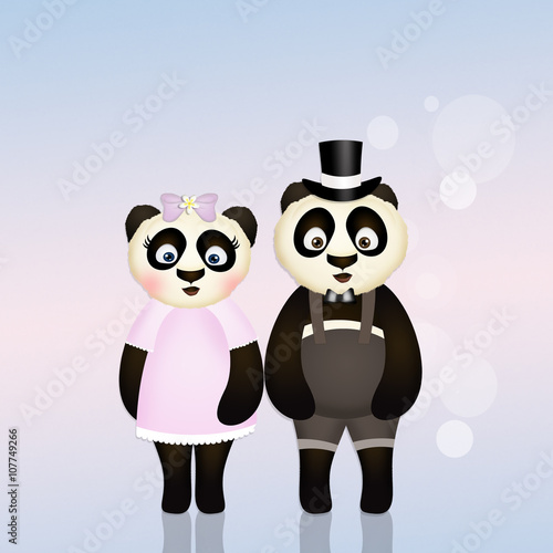 Fototapeta Naklejka Na Ścianę i Meble -  panda couple