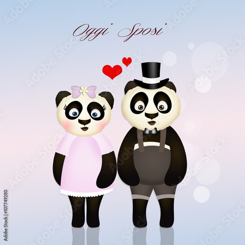 Fototapeta Naklejka Na Ścianę i Meble -  panda spouses