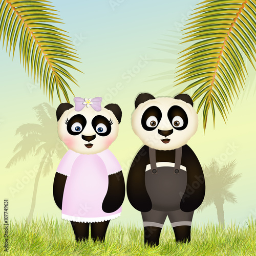 Fototapeta Naklejka Na Ścianę i Meble -  pandas in the jungle