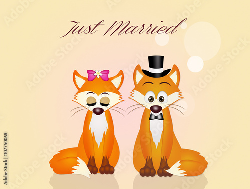 Wedding of foxes © adrenalinapura