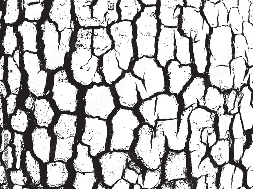 Bark close up texture vector illustration. Black and white color