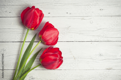 tulips in a vase on white background isolated