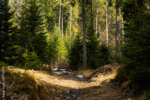 Fototapeta Naklejka Na Ścianę i Meble -  Beautiful Beskidy landscape - Rysianka mountain