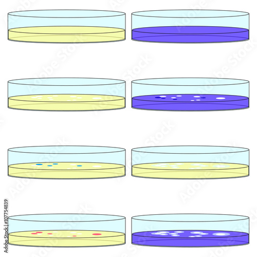 plate with bacteria, vector