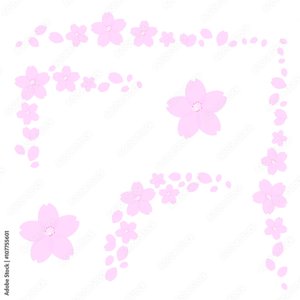 sakura (cherry blossom) borders, vector