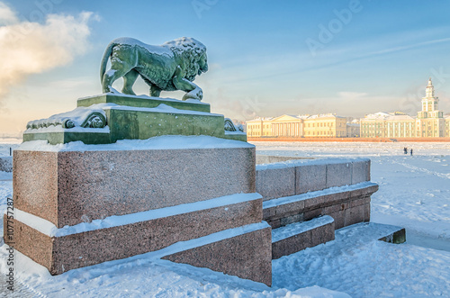 A lion statue on The Admiralty embankment looking on the University building and frozen Neva river at a frosty hazy winter day