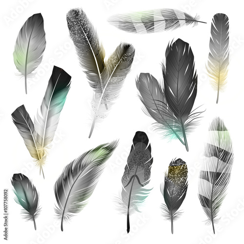 Black And White Feathers Set