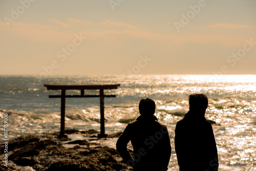Japanese seashore and Torii