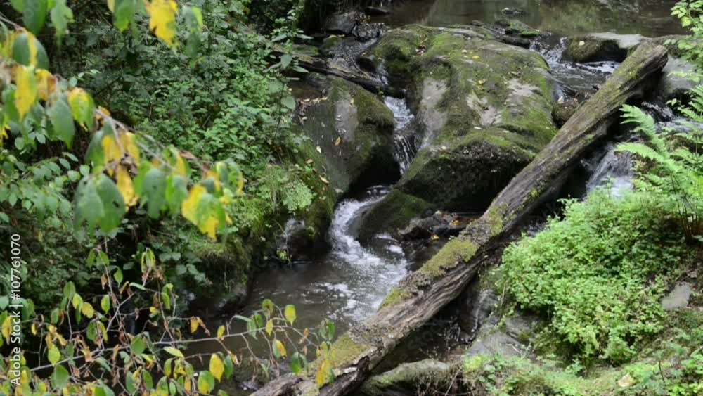 wild stream through a forest. Ehrbach canyon at mosel valley. (Brodenbach, germany)
wild stream through a forest. Ehrbach canyon at mosel valley. (Brodenbach, germany)