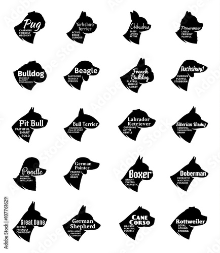 Vector dog icons collection isolated on white. Dogs breeds names