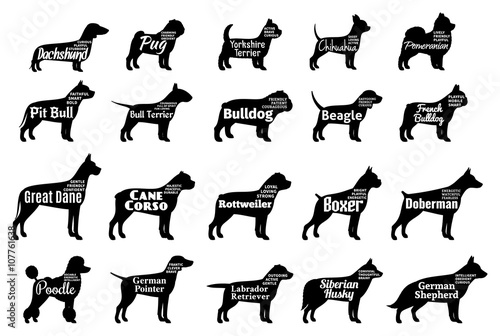 Vector dog silhouettes collection isolated on white. Dogs breeds