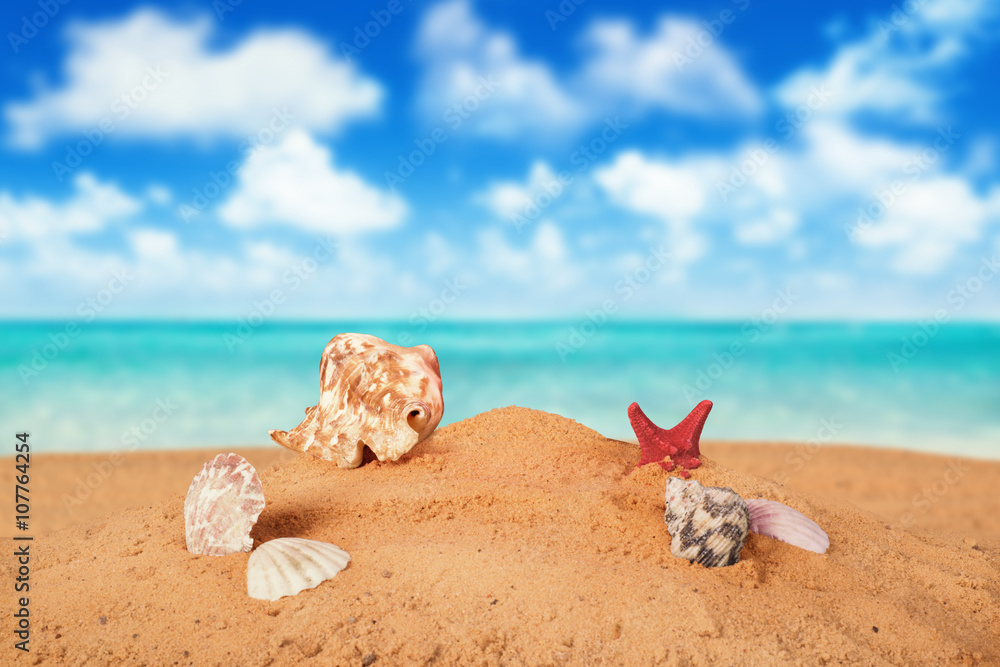 Starfish on the Beach. Starfish on the Beach.