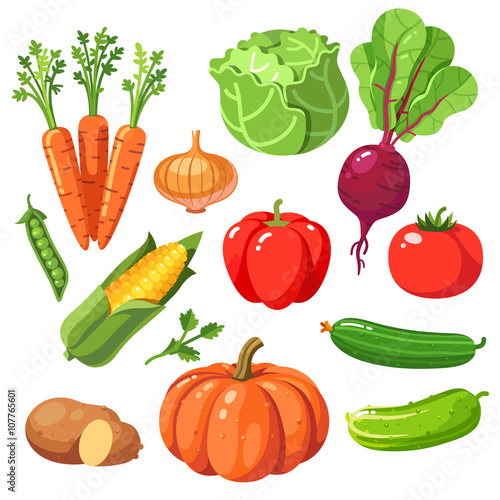 Set of fresh healthy vegetables