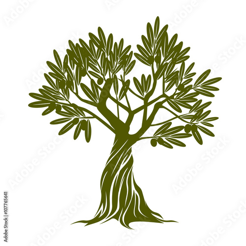 Green Vector Olive Tree.