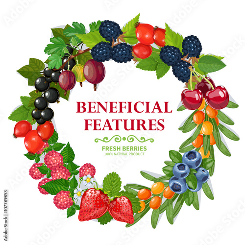 Fresh Natural Berries Wreath Decorative Frame 