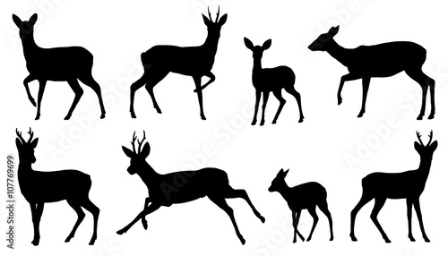 roe deer silhouettes © jan stopka