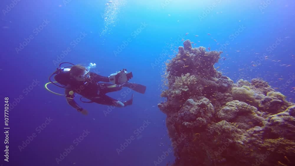 Дайвинг в Красном море близ Египта. Подводный видеооператор, снимающий красочный коралловый риф. Дайвинг в Красном море близ Египта. Подводный видеооператор, снимающий красочный коралловый риф.
