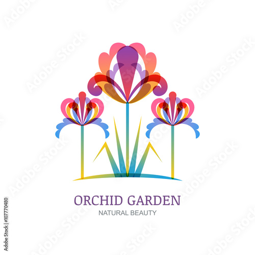 Vector isolated illustration of colorful tropic orchid or lily flowers. Logo, label, icon design elements. Concept for beauty salon, natural organic cosmetics, makeup, floral shop, gardening.