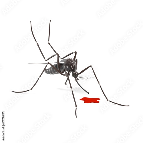 3d render of Aedes Aegypti © bescec
