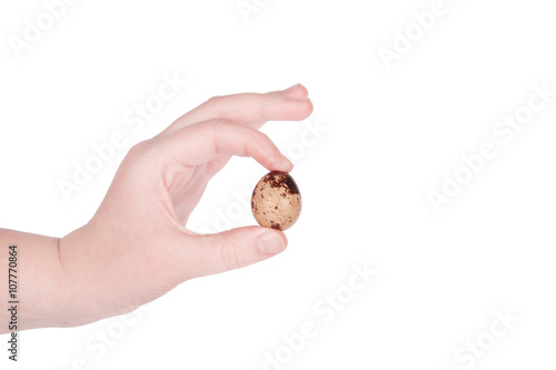 female hand holding a quail egg