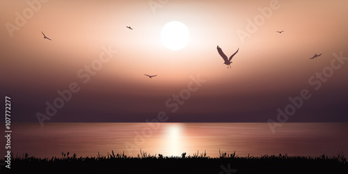 Paysage Coucher de soleil - océan