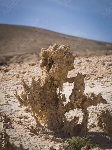 Natural sand scaltures,Fuerteventura,canary-islands Spain photo