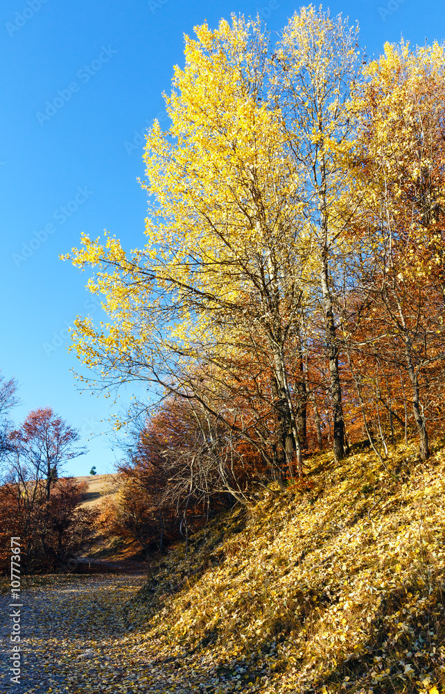 Rural road and golden autumn in mountain.