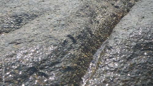 Beautiful Thai Beach. East Railey Beach near Krabi. Little Crab walking on the beach during outflow. photo