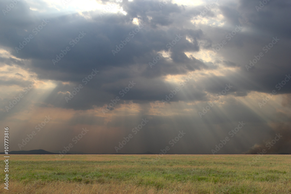 Picturesque view on Serengeti National Park Picturesque view on Serengeti National Park