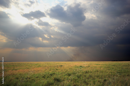 Cloudy sky over savannah, Serengeti Tanzania