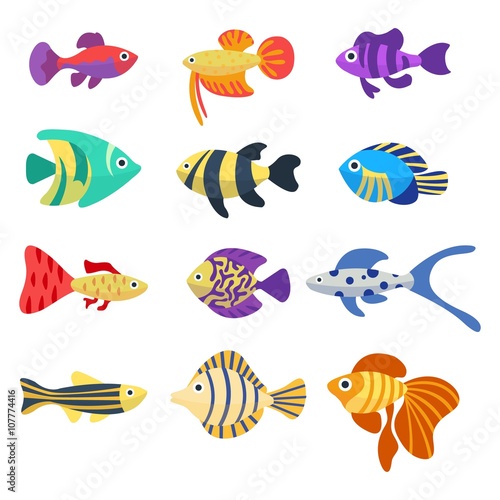 Set of aquarium fish. Cute cartoon colorful different fish. Aquarium underwater life. Flat vector icons. Isolated on white background