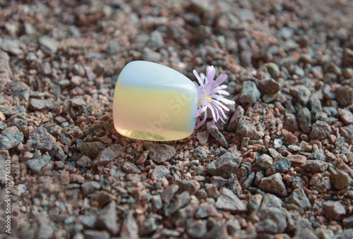 Polished moonstone with Lithops flower photo