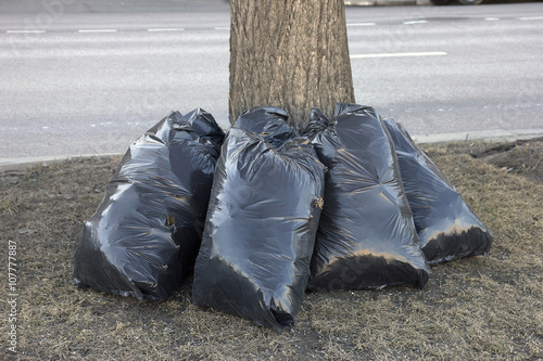spring street cleaning - black garbarge bags with dry leaves nea photo