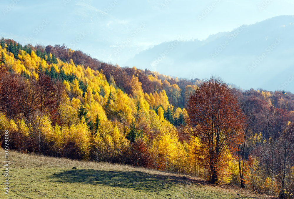 Fototapeta premium Golden autumn in mountain.