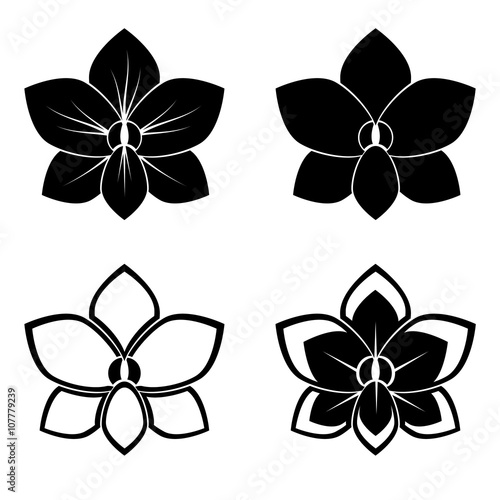 four orchid silhouettes for design vector