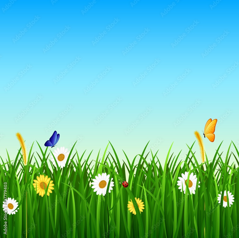 Fototapeta Natury tło z zieloną trawą, kwiatem i niebieskim niebem ,.