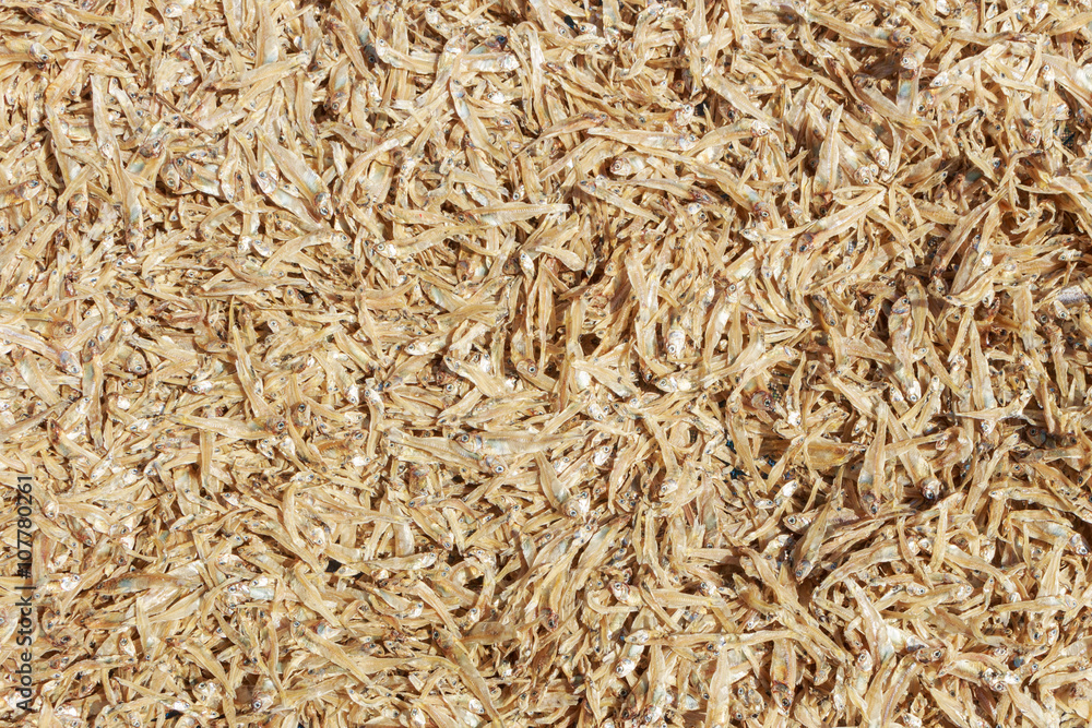 Dried fish dry in sunlight, in Thailand. Dried fish dry in sunlight, in Thailand.