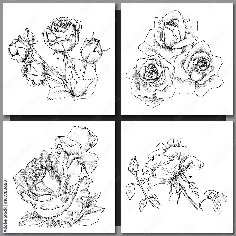 Set of Romantic vector background with three echinaceas. - obrazy, fototapety, plakaty 