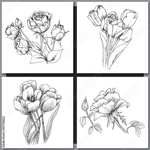 Fototapeta Set of Romantic vector background with three echinaceas.
