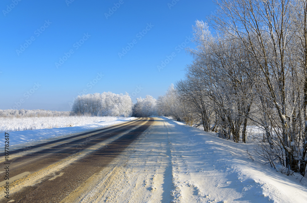 Obraz premium Winter road