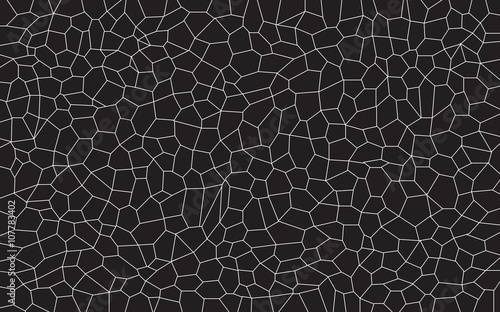 Black and White Mosaic