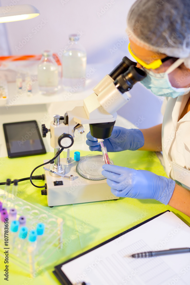 Fototapeta premium Woman in a laboratory working with a microscope, selective focus