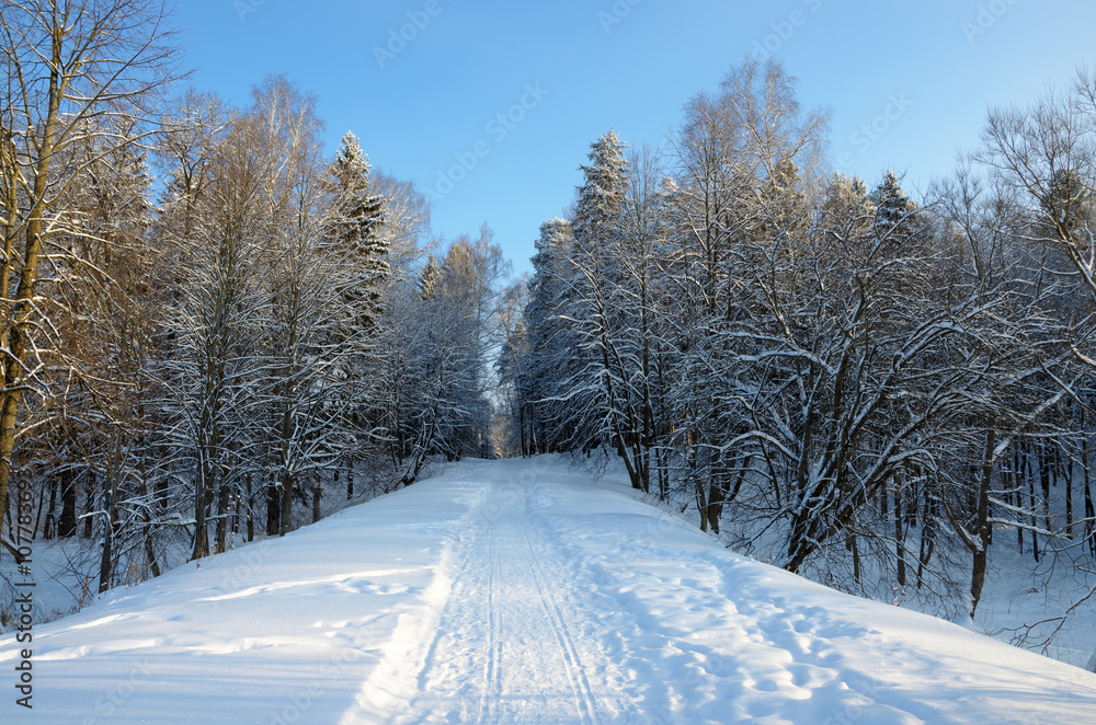 Obraz premium Winter road
