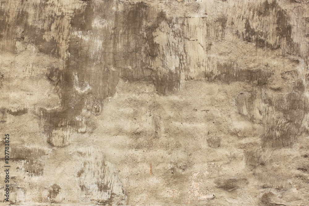 Obraz premium Brown wall palsster