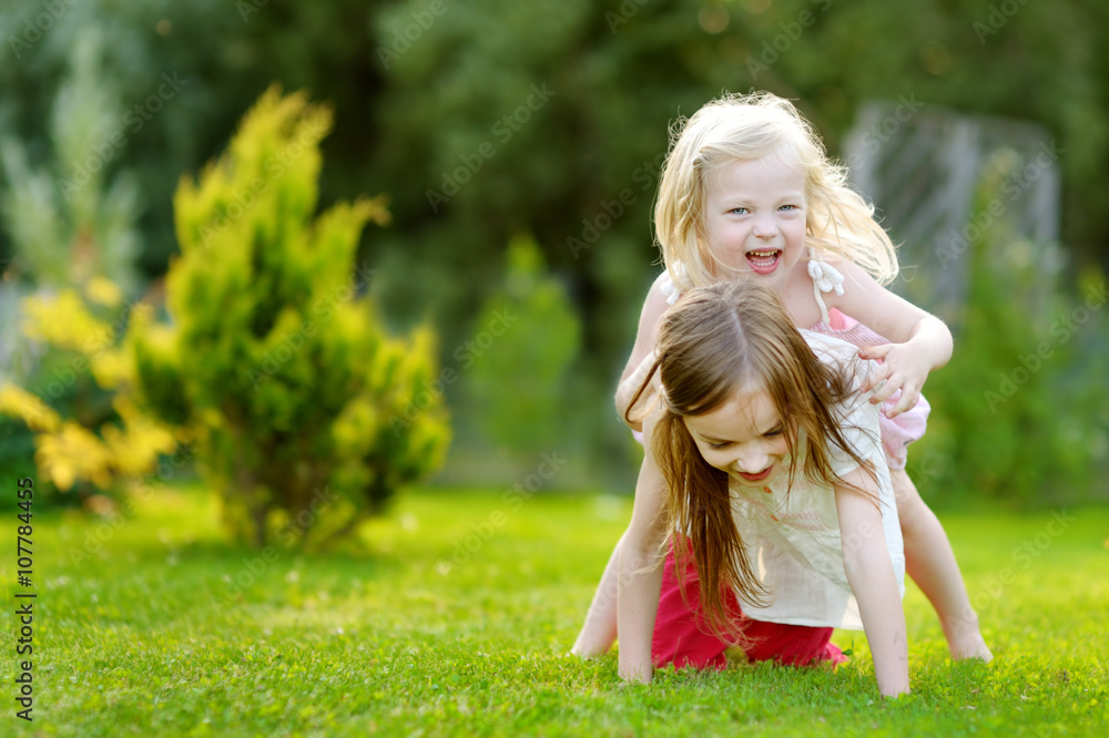 Fototapeta premium Two cute little sisters having fun together on the grass