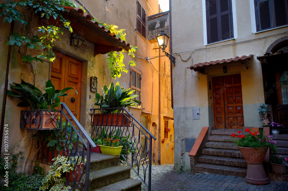 Fototapeta premium Typical medieval narrow street in beautiful town of Nemi